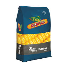 DKC 75-65 Maize Seed 25kg