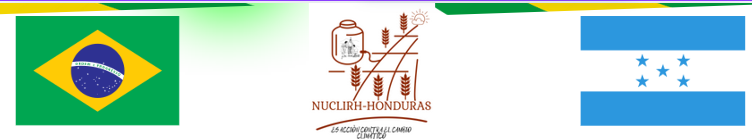 NUCLIRH Honduras Banner with Brazilian and Honduran flags