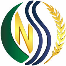Logo CNSS