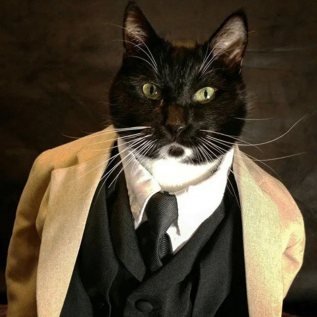 The Dapper One the Human