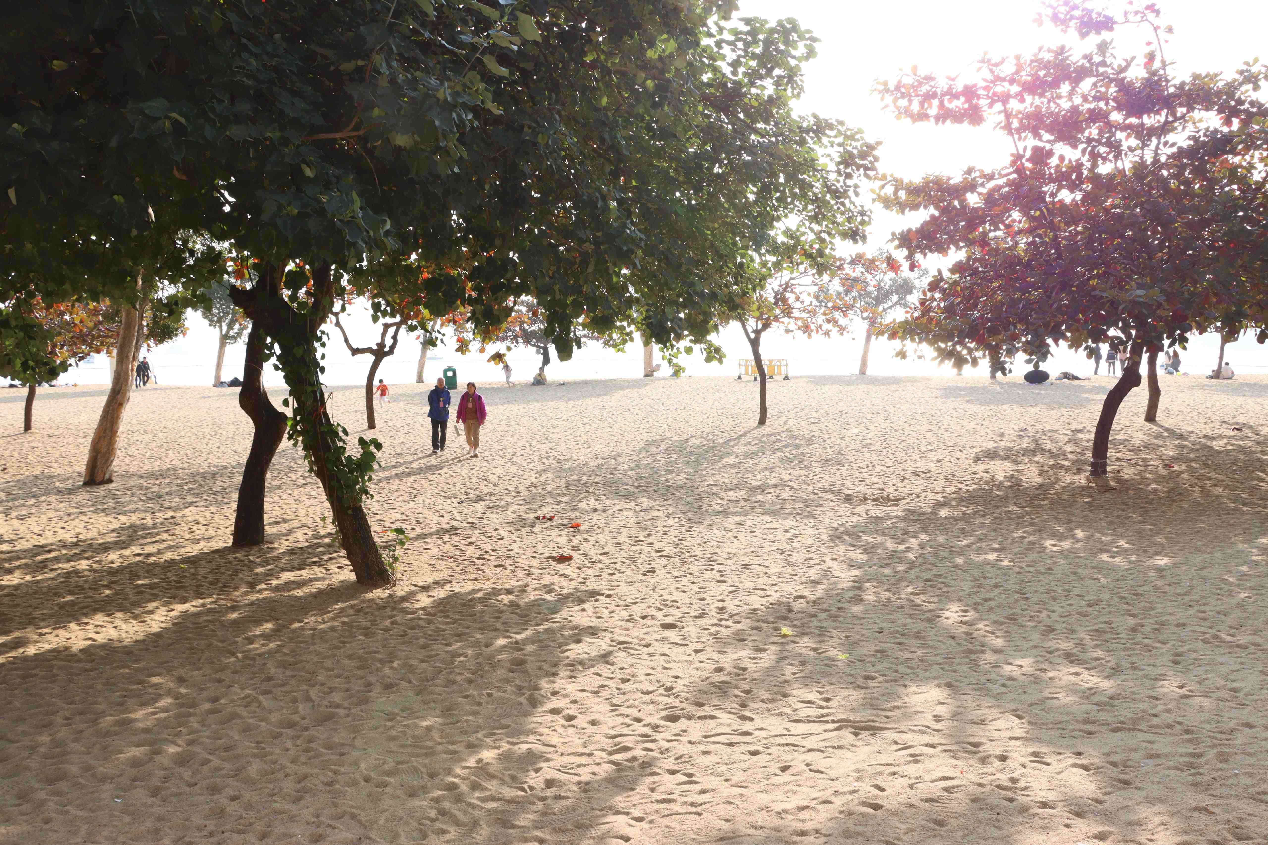 Beach Landscape