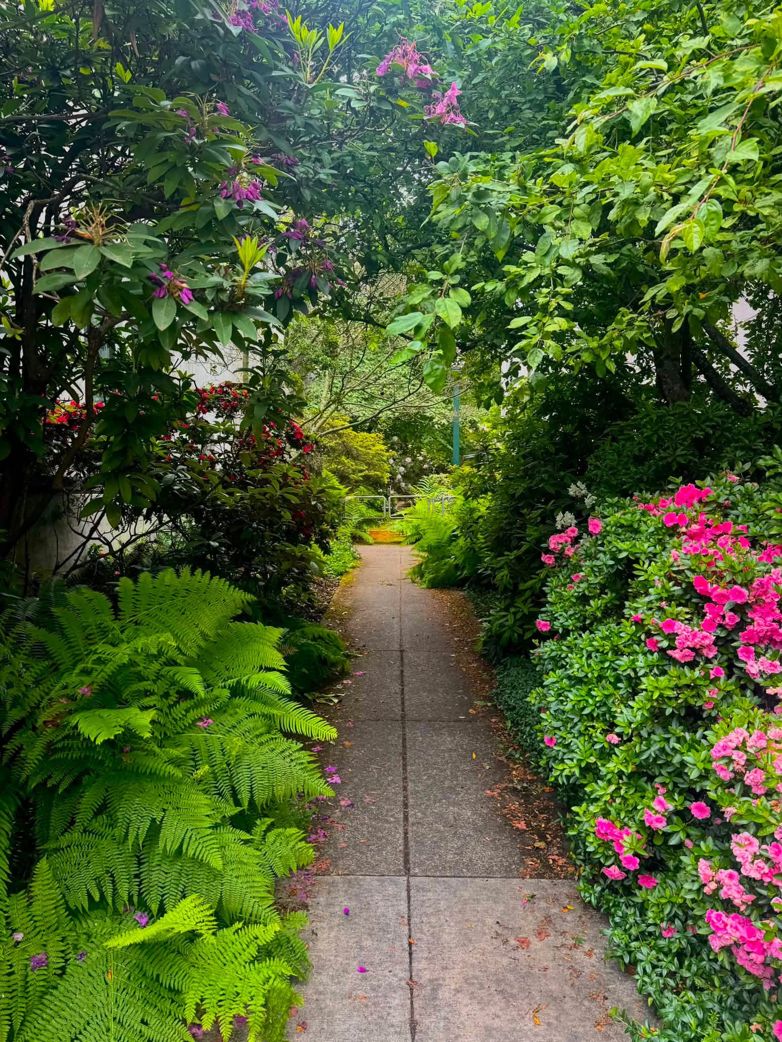 Garden & Landscape Design