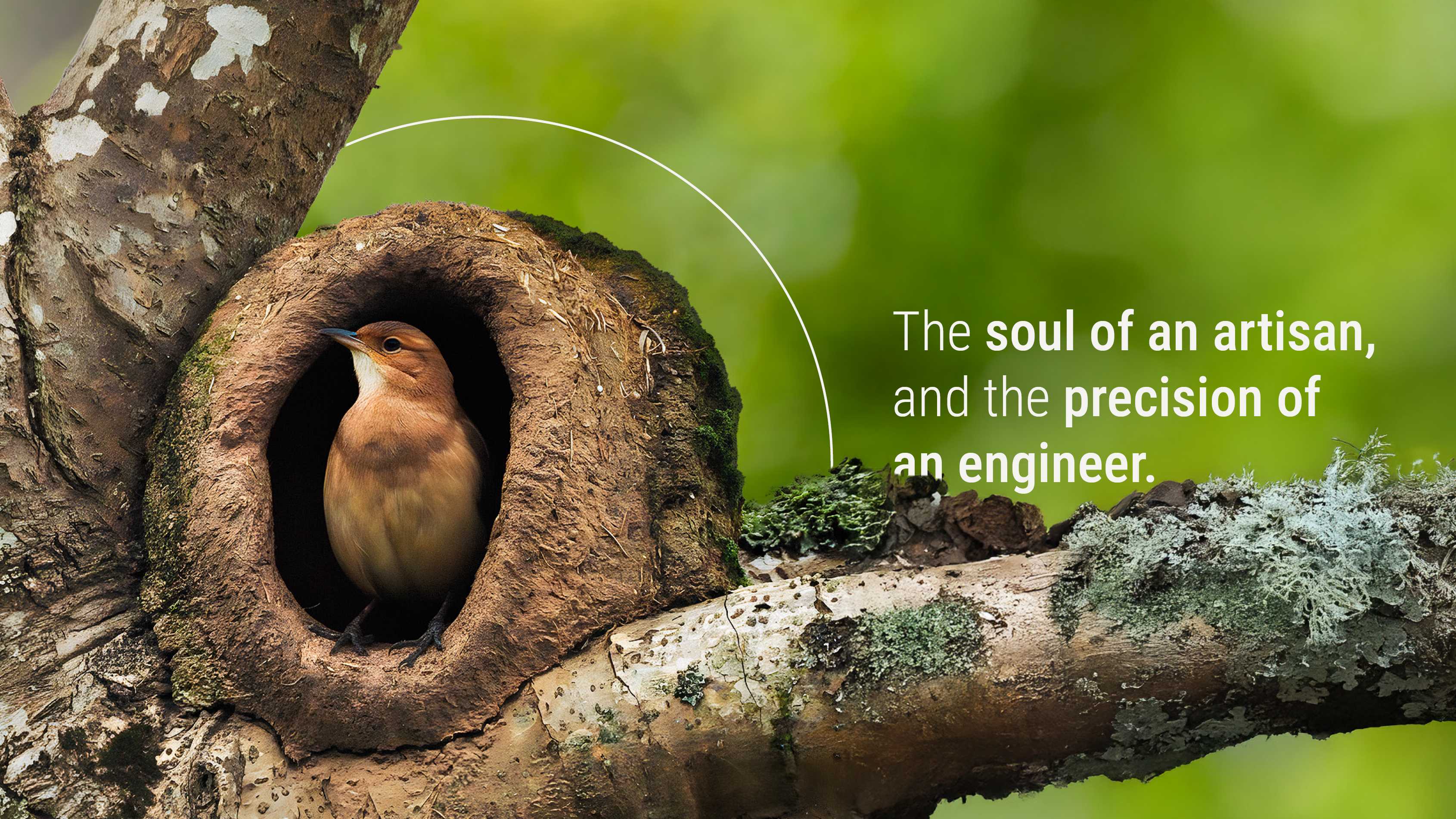 Hornero bird peeking from its intricate mud nest with text: The soul of an artisan, and the precision of an engineer