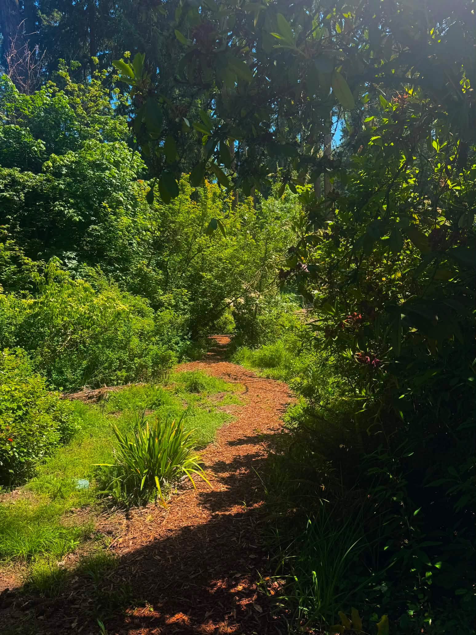 Lawn Maintenance