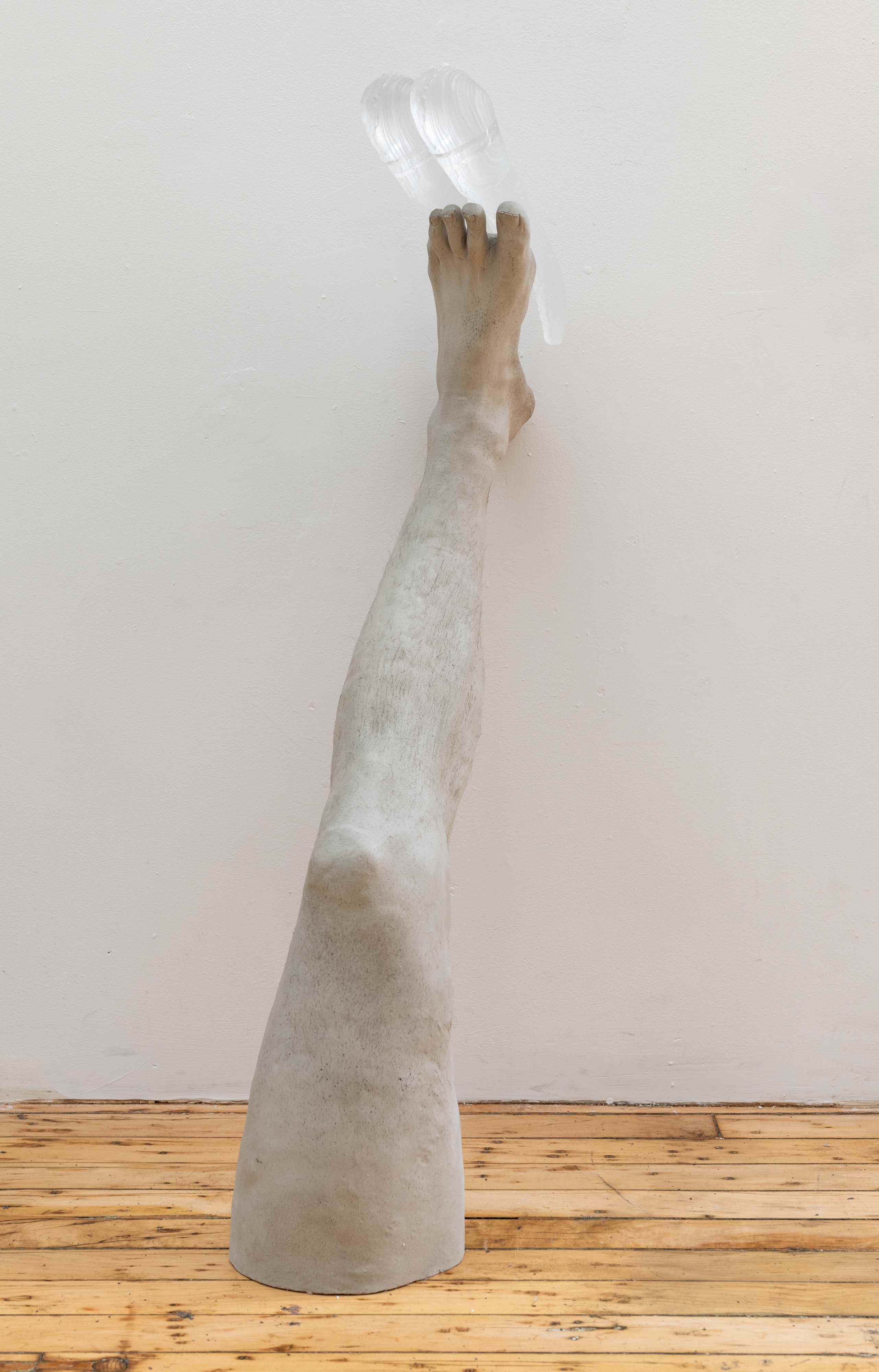 Divided Subject - Image 9