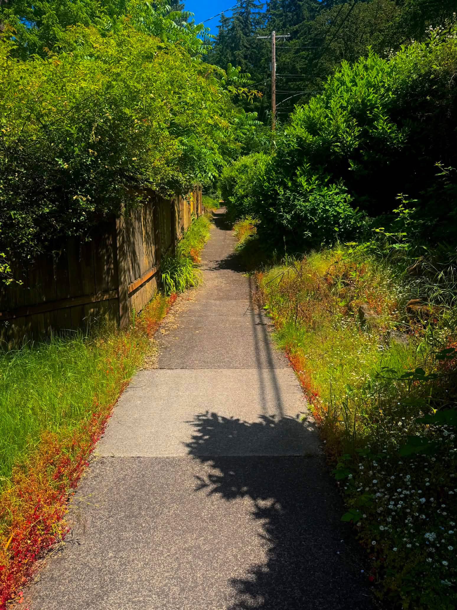 Driveway Landscaping