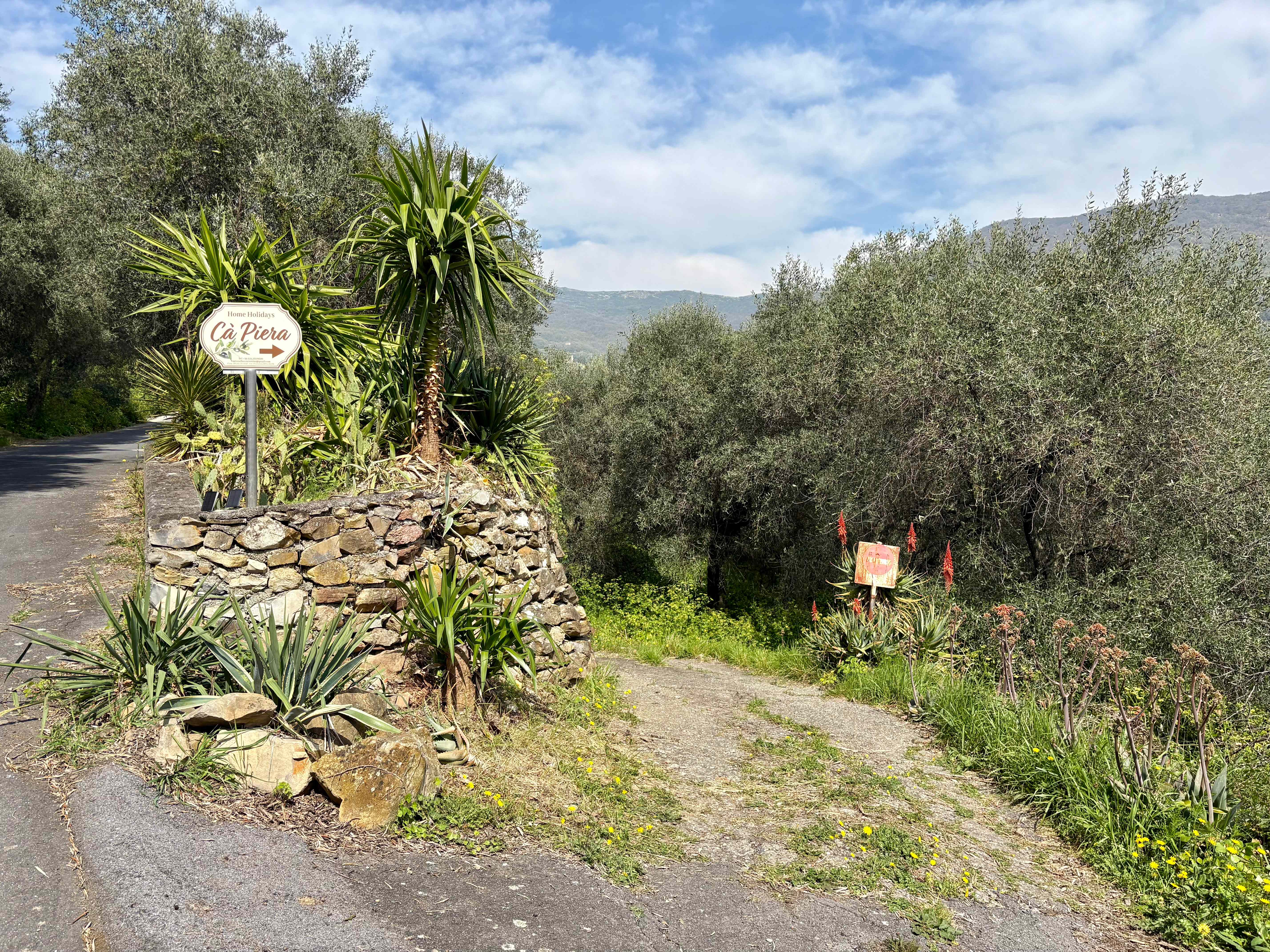 Ingresso Ca Piera segnale strada entroterra colline olivi Diano Borello