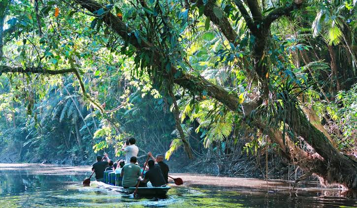 Amazon Rainforest Experience