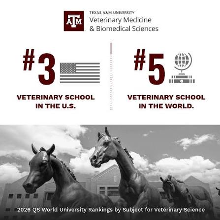 Texas A&M Veterinary Medicine and Biomedical Sciences ranking graphic with horses