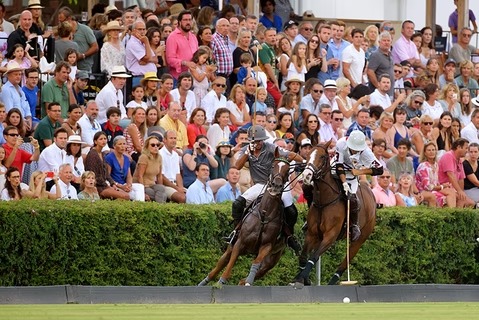 Crowded Grandstand