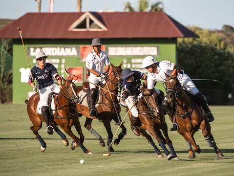 Five Players Action