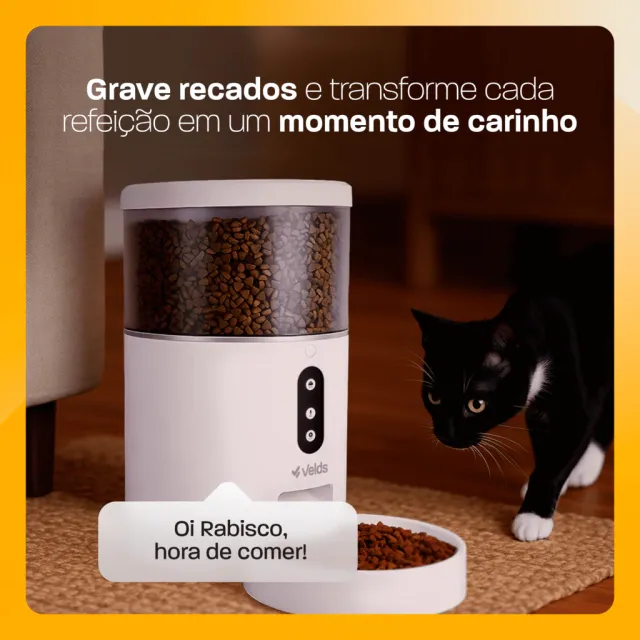 Imagem 4