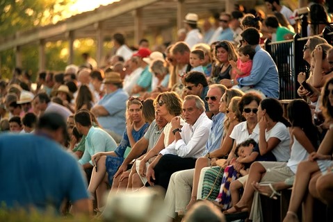 Spectator Experience