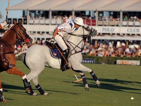 Polo Experience