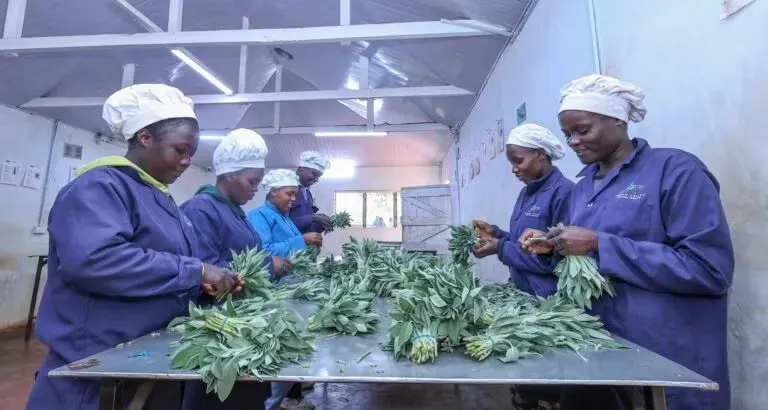 Agricultural processing facility