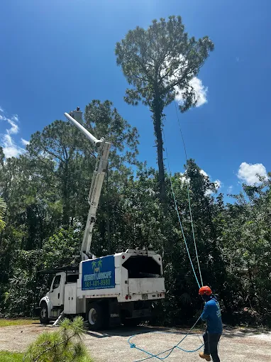 Integrity Landscape bucket truck with extended boom performing tall tree work under blue Florida skies