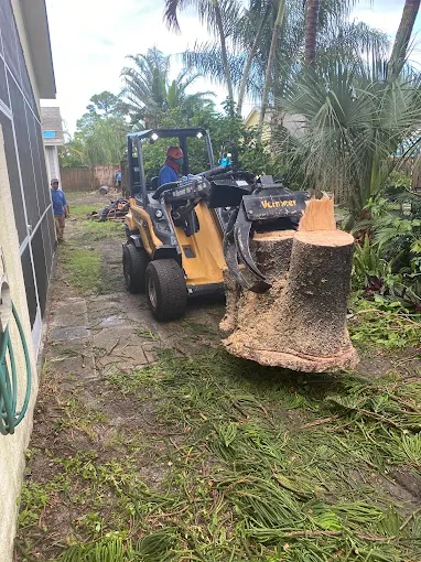 Skid-steer loader lifting and removing a large tree stump from a residential side yard after tree removal