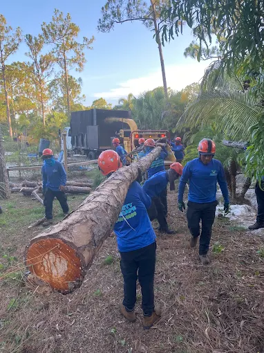 Eight Integrity Landscape crew members in matching blue uniforms and orange hard hats carrying a massive freshly cut pine log toward a wood chipper