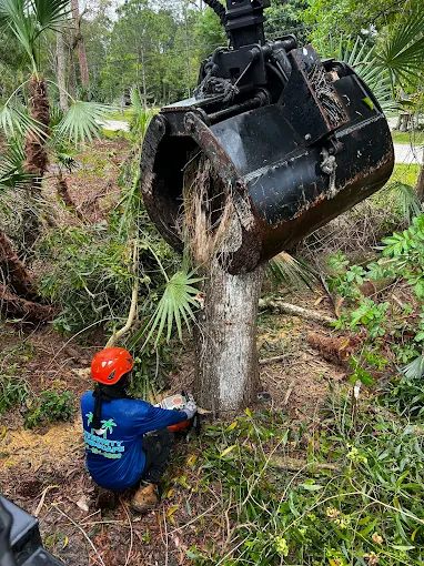 Integrity Landscape arborist in orange helmet cutting a palm stump with a chainsaw while an excavator bucket holds the trunk in place