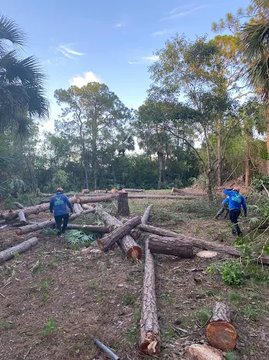 Two Integrity Landscape crew members in branded blue shirts clearing a large pile of felled pine logs from a property