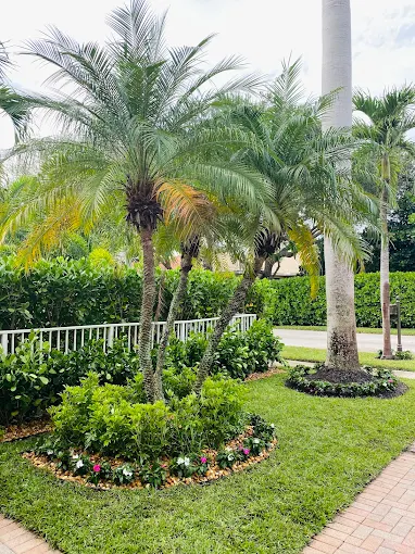 Lush landscaped yard with royal palms and tropical flowering plants installed by Integrity Landscape in Palm Beach County