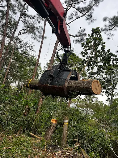 Heavy crane grapple claw gripping a large log during professional tree removal operation in Palm Beach County
