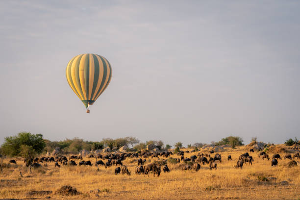 Hot air balloon safari over Serengeti plains at sunrise