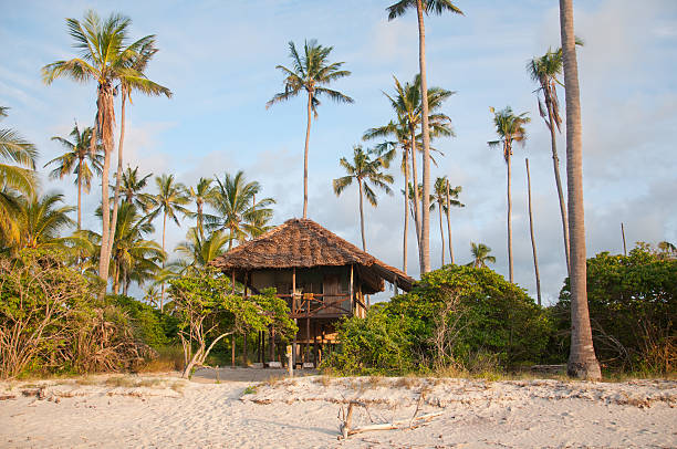 Southern Tanzania coastline and bush