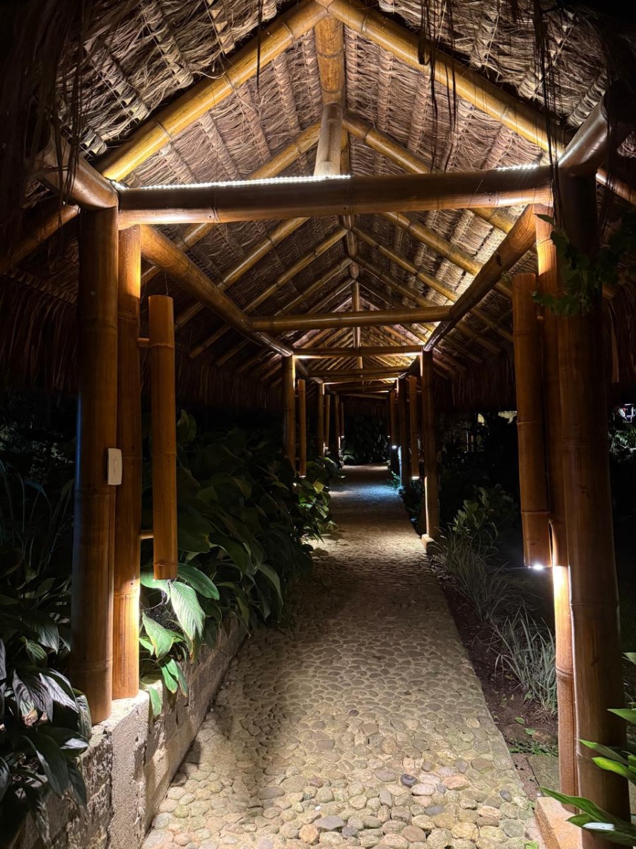 Projetos de iluminação com bambu