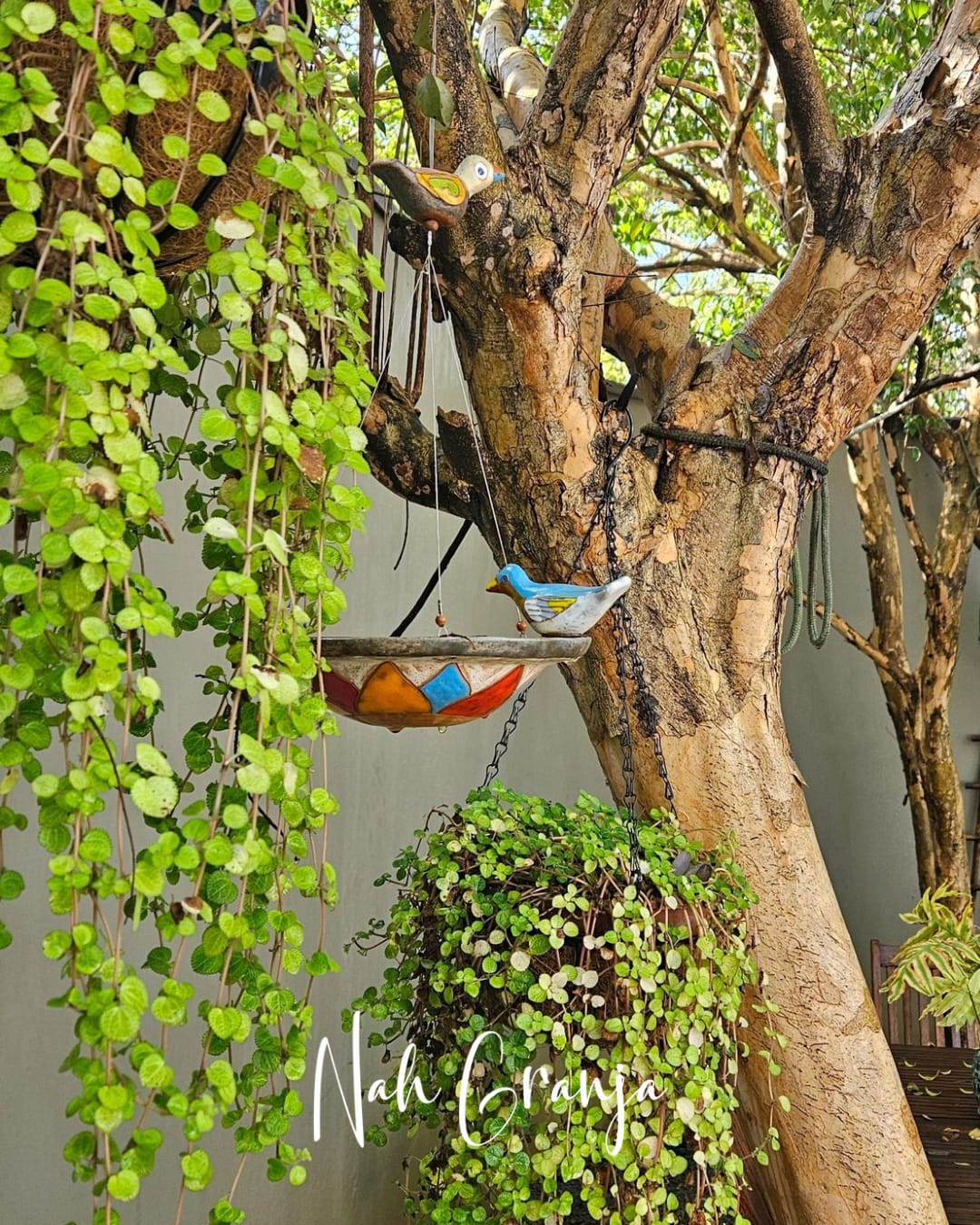 Decoração no jardim