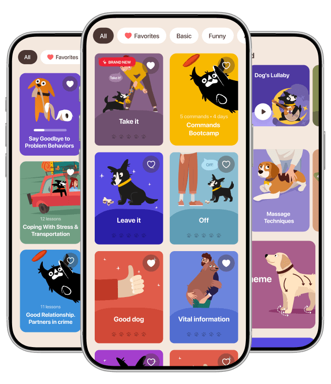 Biblioteca visual do app 4Help com conteúdos de conhecimento para pets