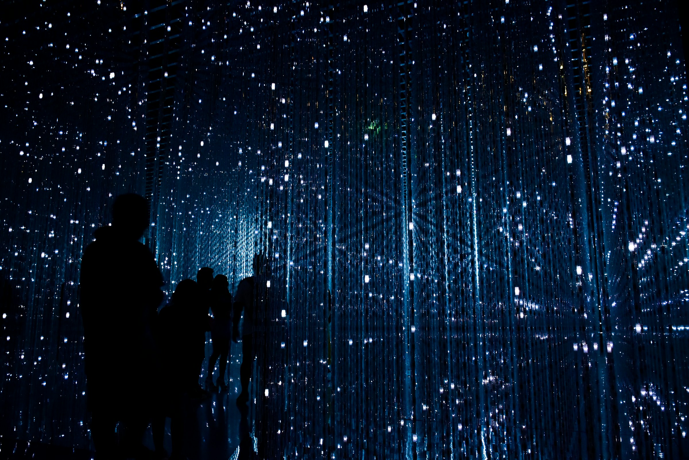 Silhouettes of people in immersive LED light installation