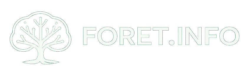 FORET.INFO - Accueil