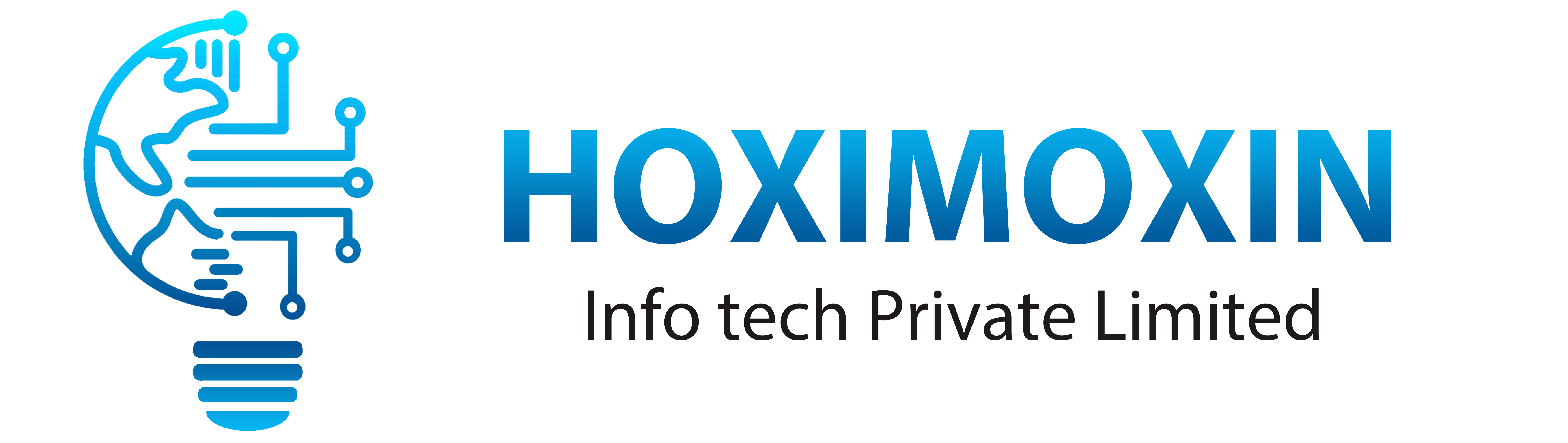 Hoximoxin IT Services Logo