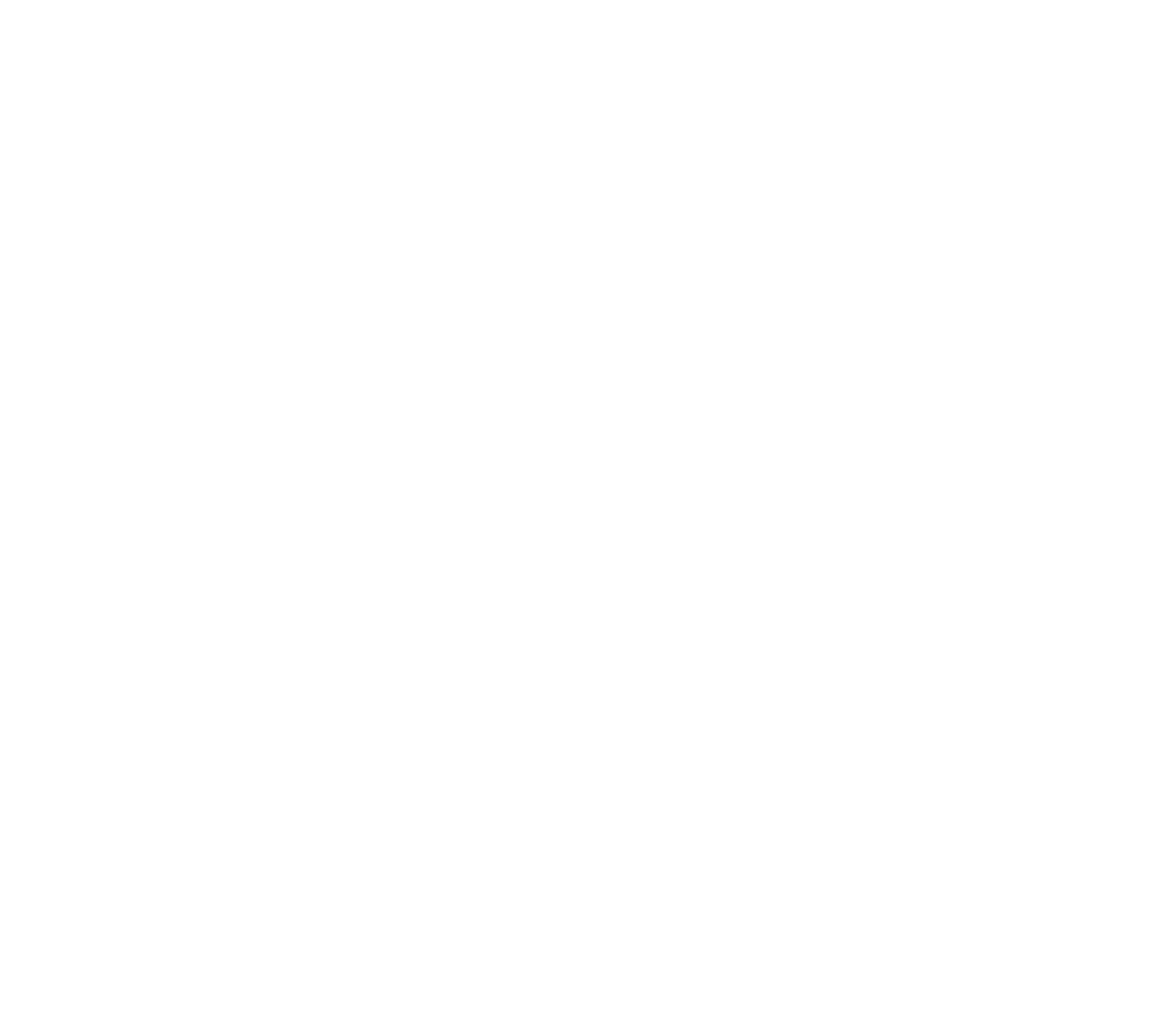 TEMO DESIGN Logo
