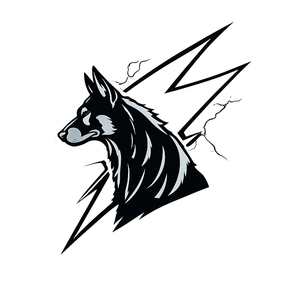 Shepherd Electric Logo
