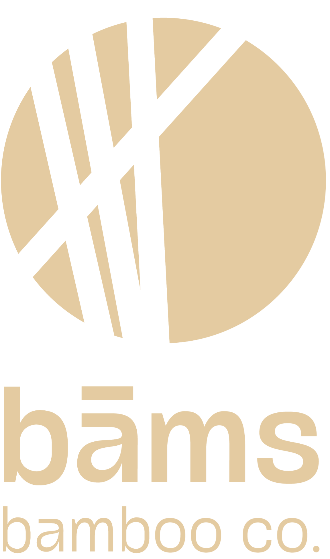 bāms bamboo co.