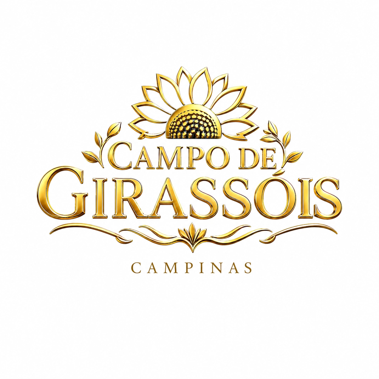 Campo de Girassóis Campinas