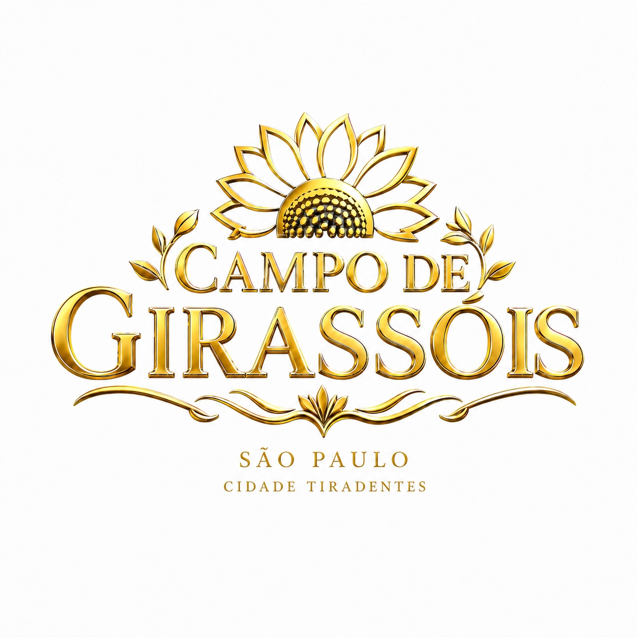 Campo de Girassóis São Paulo