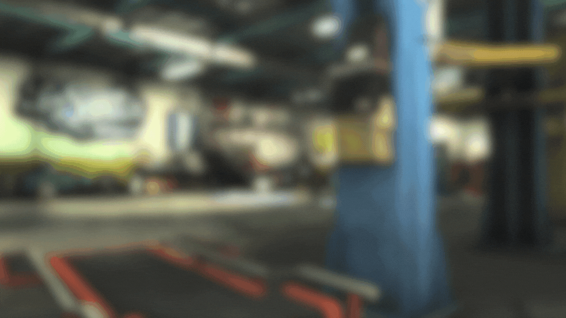 LS CUSTOMS background