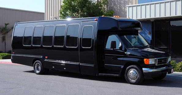 Luxury Mini Coach — 14+ passengers