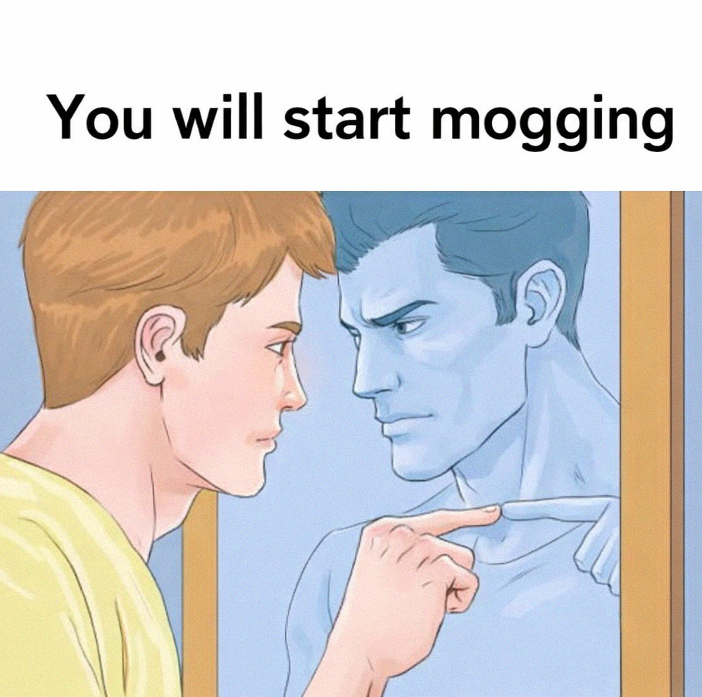 Meme 21