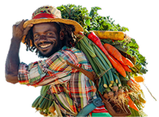 Farmer