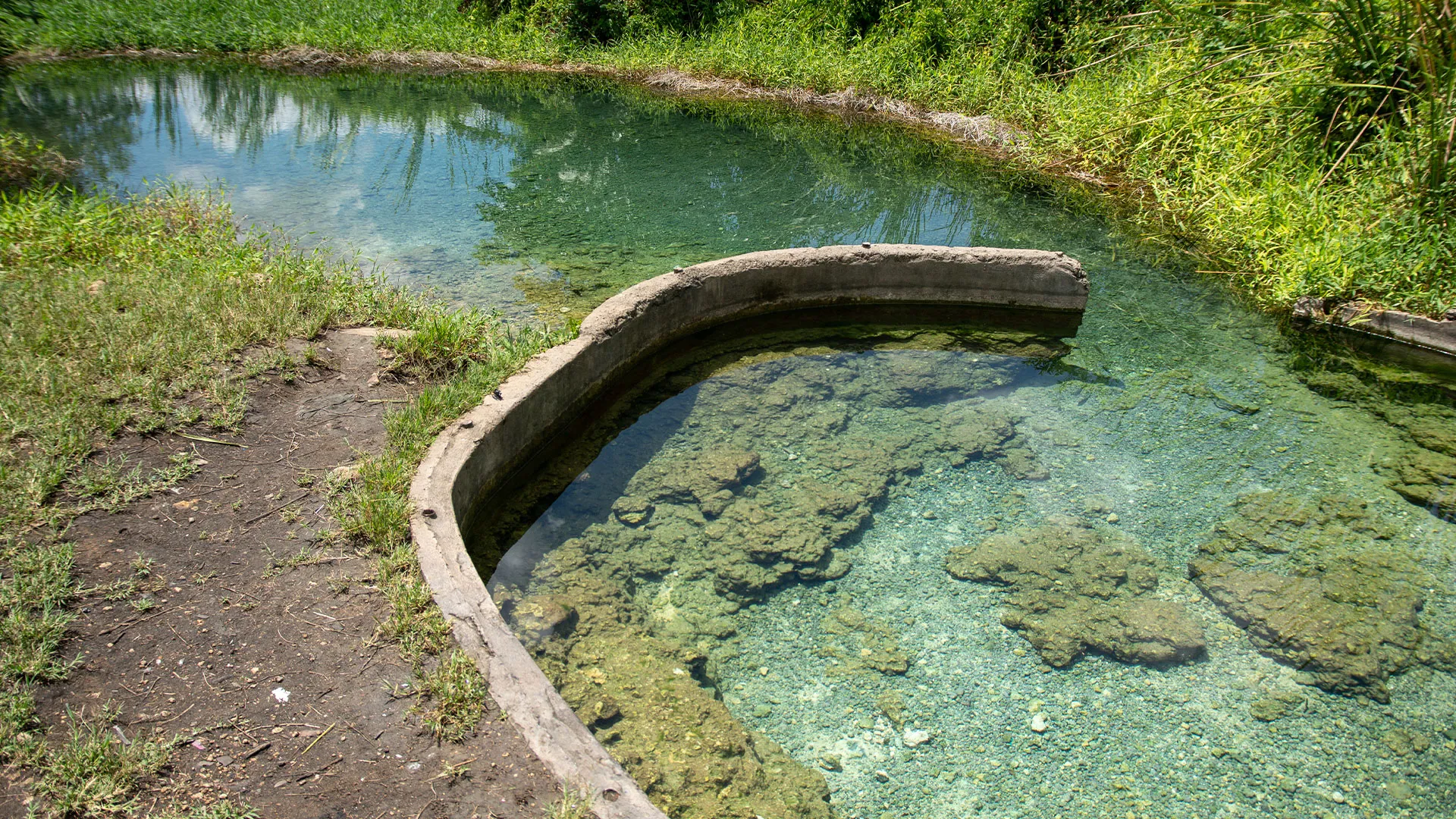 Clear freshwater spring at Manantial de Tortuguero with crystal-clear teal water