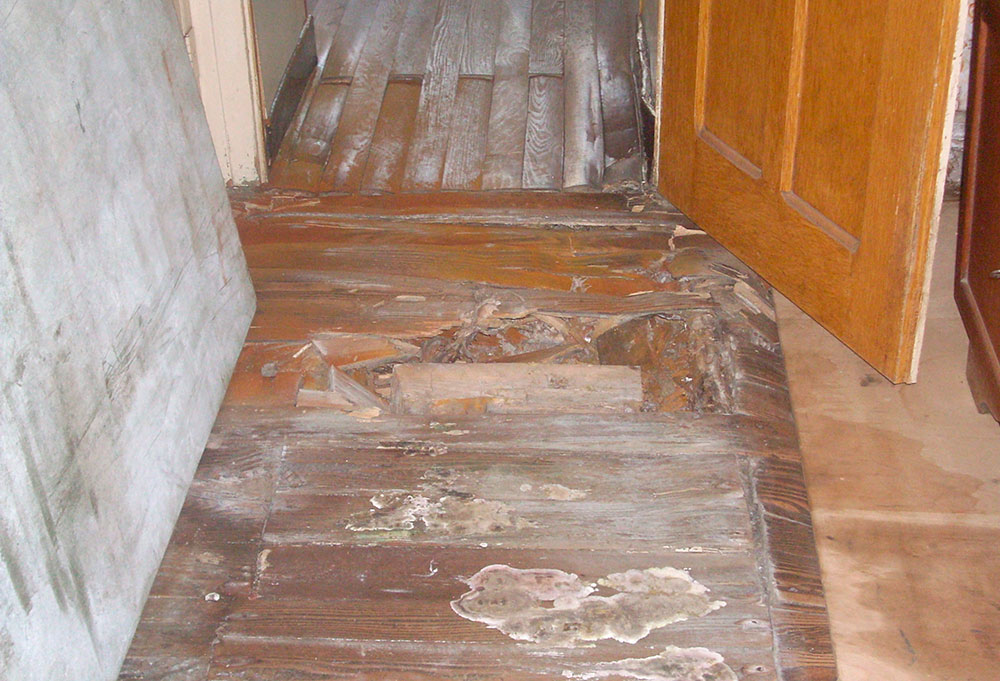 Parquet detruit