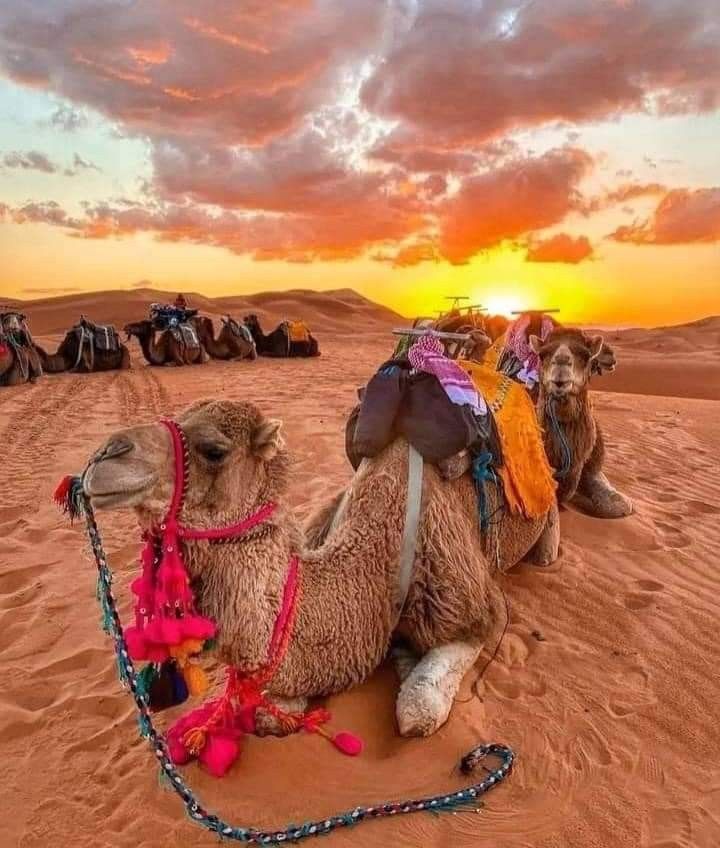 3-Day Merzouga Desert Tour - 3