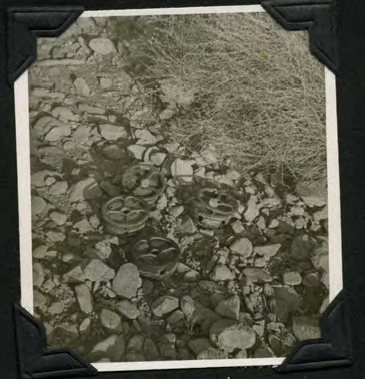 Several mines lying among rocks and desert brush.