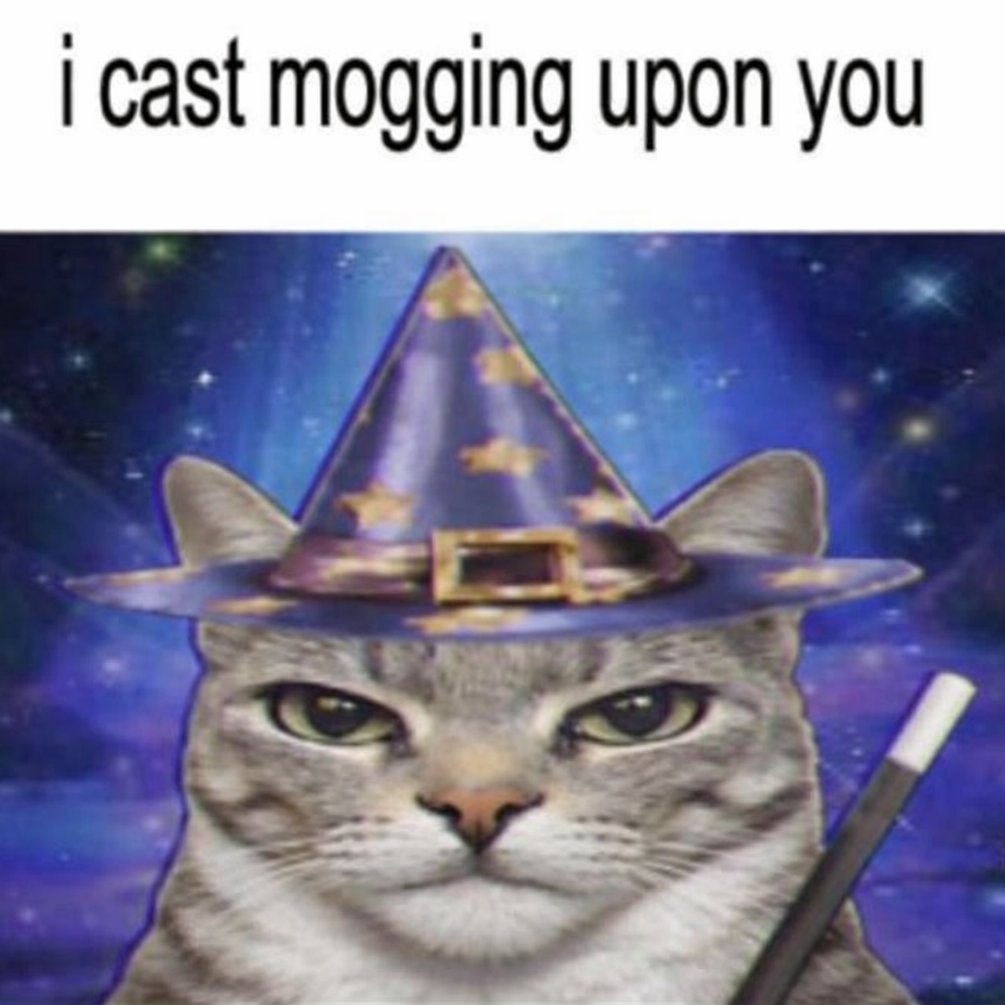 Meme 4