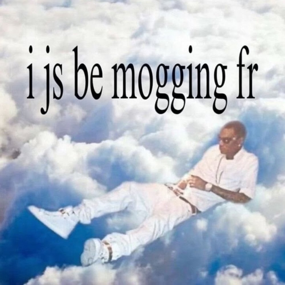 Meme 13
