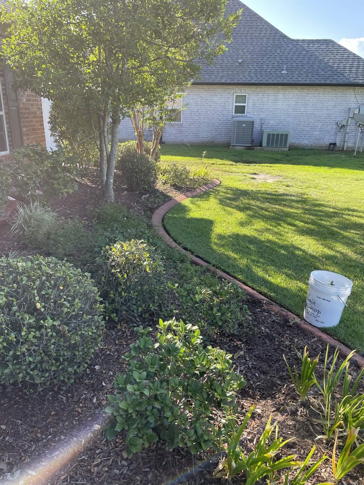 Flower Bed Cleanup - Before